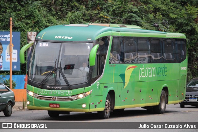 Pássaro Verde 15130 na cidade de Viçosa, Minas Gerais, Brasil, por Julio Cesar Euzebio Alves. ID da foto: 11085655.