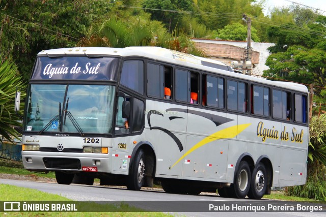 Águia do Sul Turismo 1202 na cidade de Barra do Piraí, Rio de Janeiro, Brasil, por Paulo Henrique Pereira Borges. ID da foto: 11086029.