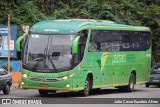 Pássaro Verde 15130 na cidade de Viçosa, Minas Gerais, Brasil, por Julio Cesar Euzebio Alves. Número da foto: #:id.
