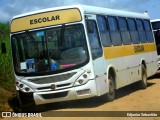 Escolares 4C87 na cidade de Paudalho, Pernambuco, Brasil, por Edjunior Sebastião. Número da foto: #11133877.