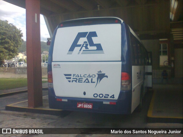 Falcão Real 0024 na cidade de Jacobina, Bahia, Brasil, por Mario dos Santos Nogueira Junior. Número da foto: #11135366.