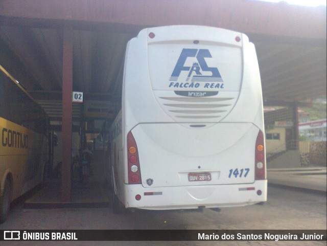 Falcão Real 1417 na cidade de Jacobina, Bahia, Brasil, por Mario dos Santos Nogueira Junior. Número da foto: #11136495.