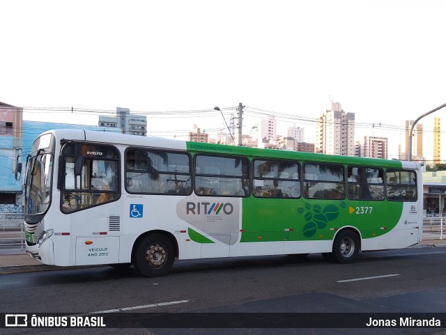 Transcorp 2377 na cidade de Ribeirão Preto, São Paulo, Brasil, por Jonas Miranda. Número da foto: #11136570.