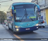 Nova Belga Transportadora Turística 3031 na cidade de Guarulhos, São Paulo, Brasil, por Davy Santos. Número da foto: #:id.