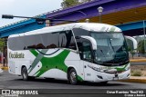 AdeO - Autobuses de Occidente 33041 na cidade de Morelia, Michoacán, México, por Omar Ramírez Thor2102. ID da foto: :id.