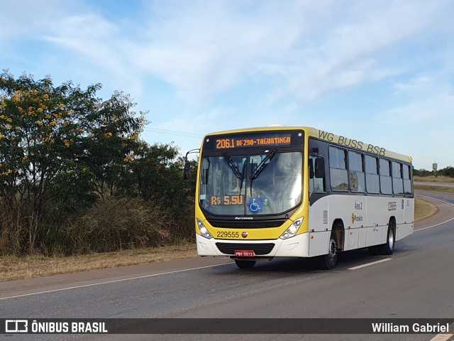 Viação Pioneira 229555 na cidade de Gama, Distrito Federal, Brasil, por William Gabriel. Número da foto: #11141300.