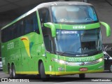 Pássaro Verde 12124 na cidade de Belo Horizonte, Minas Gerais, Brasil, por Hariel Bernades. Número da foto: #:id.