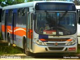 Ônibus Particulares 3783 na cidade de Paudalho, Pernambuco, Brasil, por Edjunior Sebastião. ID da foto: :id.