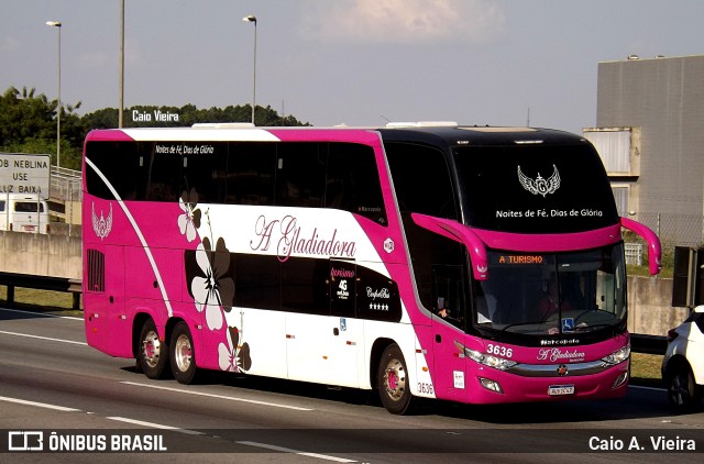A Gladiadora Turismo 3636 na cidade de Barueri, São Paulo, Brasil, por Caio A. Vieira. Número da foto: #11145967.