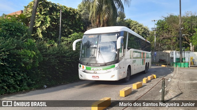 Empresa Gontijo de Transportes 21655 na cidade de Salvador, Bahia, Brasil, por Mario dos Santos Nogueira Junior. ID da foto: 11146466.