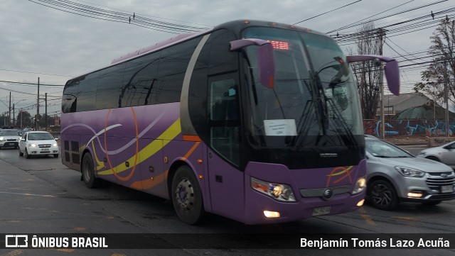 Sotrul KZPZ15 na cidade de Maipú, Santiago, Metropolitana de Santiago, Chile, por Benjamín Tomás Lazo Acuña. Número da foto: #11148034.