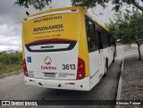 Coletivo Transportes 3613 na cidade de Caruaru, Pernambuco, Brasil, por Vinicius Palone. Número da foto: #11146376.