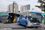 Viação Cometa 13116 na cidade de São Paulo, São Paulo, Brasil, por Francisco Dornelles Viana de Oliveira. Número da foto: #:id.
