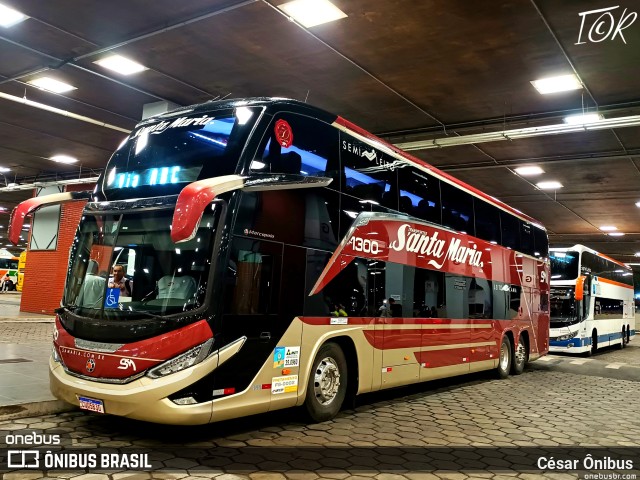 Santa Maria Fretamento e Turismo > Transportes Santa Maria(SP) 1300 na cidade de Belo Horizonte, Minas Gerais, Brasil, por César Ônibus. Número da foto: #11149858.