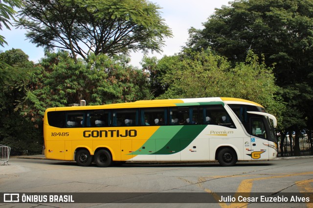 Empresa Gontijo de Transportes 18485 na cidade de São Paulo, São Paulo, Brasil, por Julio Cesar Euzebio Alves. Número da foto: #11151783.