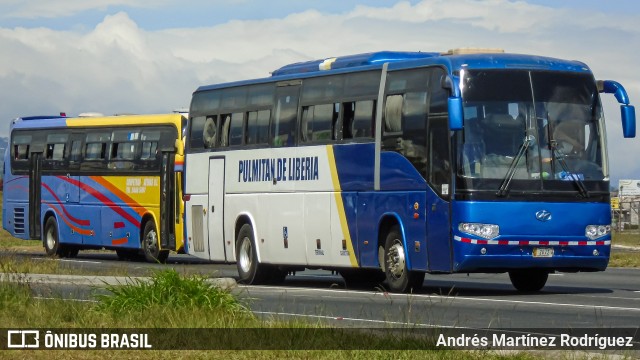 Pulmitan De Liberia  na cidade de Alajuela, Alajuela, Costa Rica, por Andrés Martínez Rodríguez. Número da foto: #11153629.
