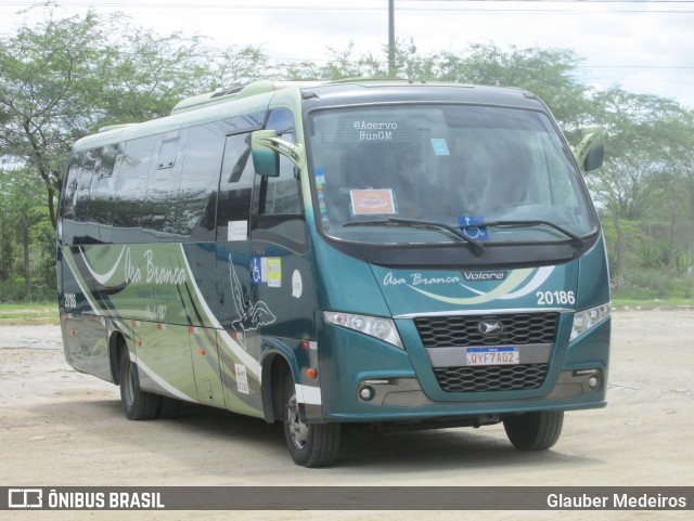 Asa Branca Turismo 20186 na cidade de Caruaru, Pernambuco, Brasil, por Glauber Medeiros. Número da foto: #11153907.