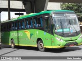 Setelagoano 15123 na cidade de Belo Horizonte, Minas Gerais, Brasil, por Hariel Bernades. Número da foto: #:id.
