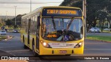 Viação Pioneira 223603 na cidade de Brasília, Distrito Federal, Brasil, por Heitor B.  S.  Bezerra. Número da foto: #11087118.