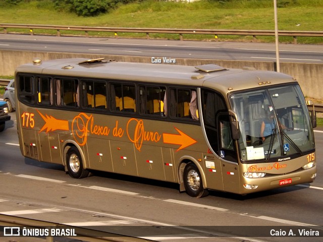 Flexa de Ouro 175 na cidade de Barueri, São Paulo, Brasil, por Caio A. Vieira. ID da foto: 11156875.