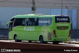 FlixBus Transporte e Tecnologia do Brasil 431907 na cidade de Betim, Minas Gerais, Brasil, por Rodrigo Barraza. Número da foto: #11156367.