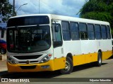 Ônibus Particulares 4D79 na cidade de Paudalho, Pernambuco, Brasil, por Edjunior Sebastião. Número da foto: #11159897.