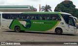 Pássaro Verde 11097 na cidade de João Monlevade, Minas Gerais, Brasil, por Hariel Bernades. Número da foto: #:id.