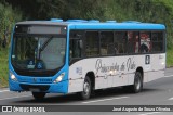 Princesinha do Vale 222304 na cidade de Piraí, Rio de Janeiro, Brasil, por José Augusto de Souza Oliveira. Número da foto: #:id.