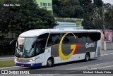 Gatti 311 na cidade de Barueri, São Paulo, Brasil, por Michael  Alberto Vieira. Número da foto: #11096125.