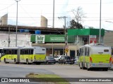 BH Leste Transportes > Nova Vista Transportes > TopBus Transportes 20503 na cidade de Belo Horizonte, Minas Gerais, Brasil, por Adão Raimundo Marcelino. Número da foto: #11096079.