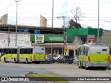 BH Leste Transportes > Nova Vista Transportes > TopBus Transportes 20503 na cidade de Belo Horizonte, Minas Gerais, Brasil, por Adão Raimundo Marcelino. ID da foto: :id.