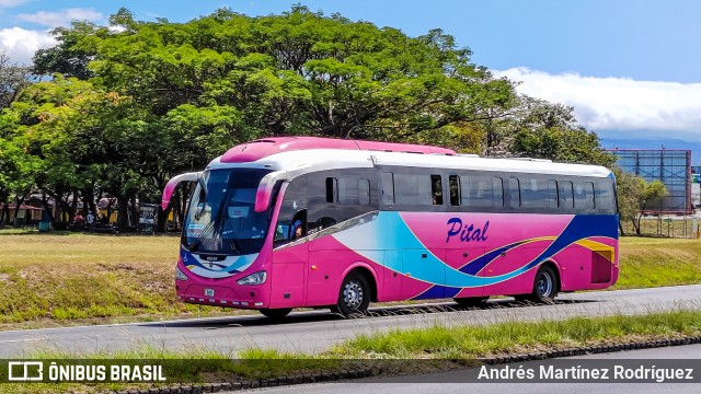 Autotransportes San José a Venecia PITAL na cidade de Alajuela, Alajuela, Costa Rica, por Andrés Martínez Rodríguez. Número da foto: #11097276.