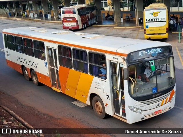 Transportadora Turística Petitto 92560 na cidade de Ribeirão Preto, São Paulo, Brasil, por Daniel Aparecido De Souza. ID da foto: 11096626.