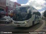 Falcão Real 21200 na cidade de Capim Grosso, Bahia, Brasil, por Mario dos Santos Nogueira Junior. Número da foto: #11099404.