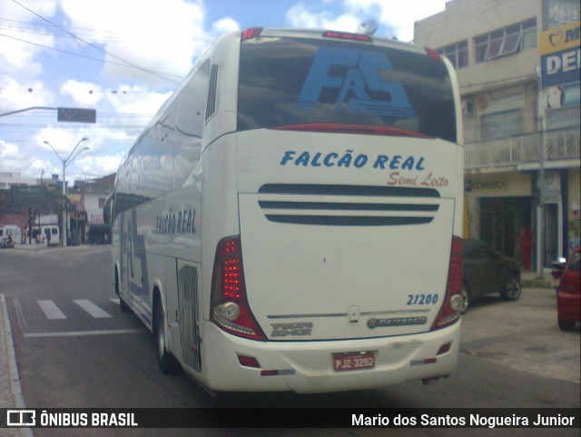 Falcão Real 21200 na cidade de Capim Grosso, Bahia, Brasil, por Mario dos Santos Nogueira Junior. ID da foto: 11101187.