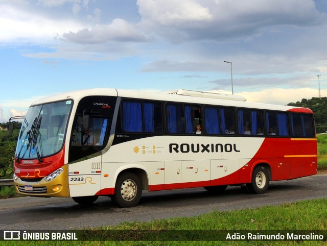 Rouxinol 2233 na cidade de Contagem, Minas Gerais, Brasil, por Adão Raimundo Marcelino. Número da foto: #11163939.