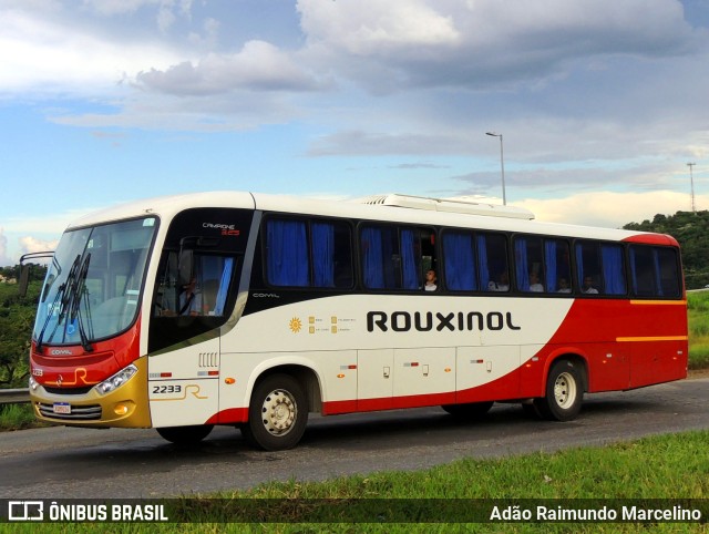 Rouxinol 2233 na cidade de Contagem, Minas Gerais, Brasil, por Adão Raimundo Marcelino. ID da foto: 11163939.