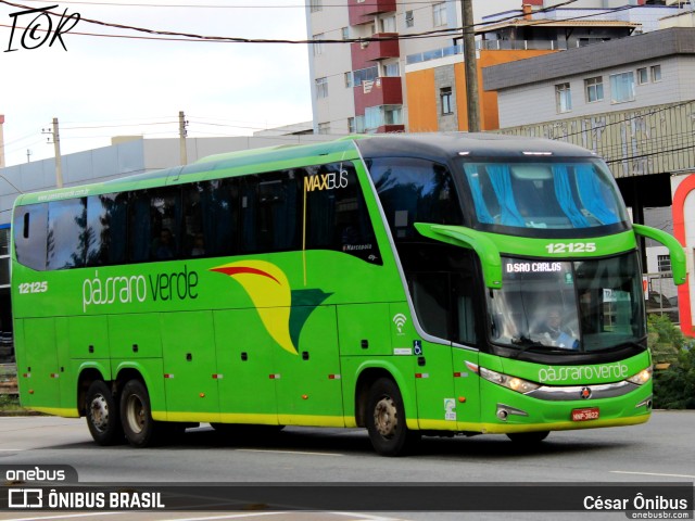 Pássaro Verde 12125 na cidade de Belo Horizonte, Minas Gerais, Brasil, por César Ônibus. ID da foto: 11186531.