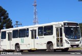 Araucária Transportes Coletivos 19M07 na cidade de Araucária, Paraná, Brasil, por Luan Vieira. Número da foto: #:id.