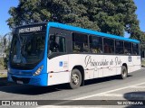 Princesinha do Vale 222308 na cidade de Resende, Rio de Janeiro, Brasil, por TM FOTOGAFIA. Número da foto: #:id.