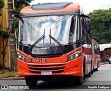 Viação Cidade Sorriso >> Viação Sorriso de Curitiba GE731 na cidade de Curitiba, Paraná, Brasil, por Hipólito Rodrigues. Número da foto: #11186206.