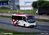 Beija Flor Turismo 3800 na cidade de Barueri, São Paulo, Brasil, por Caio A. Vieira. Número da foto: #11188340.