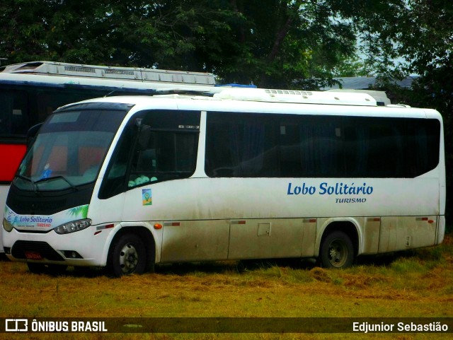 Lobo Solitário Viagens 5044 na cidade de Paudalho, Pernambuco, Brasil, por Edjunior Sebastião. Número da foto: #11196919.