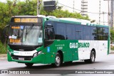 Viação Galo Branco RJ 181.001 na cidade de Niterói, Rio de Janeiro, Brasil, por Paulo Henrique Pereira Borges. Número da foto: #11200452.