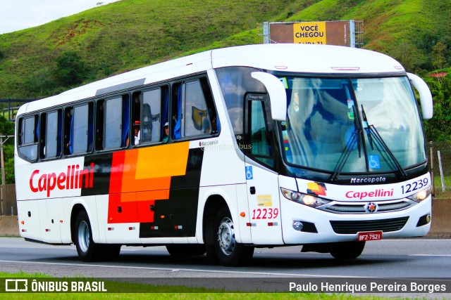 Transportes Capellini 12239 na cidade de Aparecida, São Paulo, Brasil, por Paulo Henrique Pereira Borges. Número da foto: #11202121.