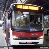 Auto Viação Transcap >> Auto Bless Transportes 8 5253 na cidade de São Paulo, São Paulo, Brasil, por Michel Nowacki. Número da foto: #11202445.