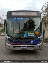 Bem Te Vi Transportes e Turismo 004 na cidade de Pinheiral, Rio de Janeiro, Brasil, por Evelyn Lima. Número da foto: #11203113.