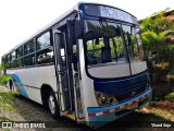 Autobuses sin identificación - Costa Rica 00 na cidade de Limón, Limón, Limón, Costa Rica, por Yliand Sojo. Número da foto: #11203717.