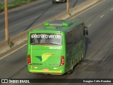 Pássaro Verde 19170 na cidade de Belo Horizonte, Minas Gerais, Brasil, por Douglas Célio Brandao. Número da foto: #:id.