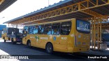 VCG - Viação Campos Gerais 1537 na cidade de Ponta Grossa, Paraná, Brasil, por BrunyBus Prado. Número da foto: #:id.